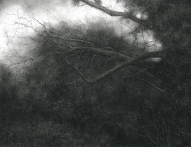 Artwork Title: Rooted in the Darkest Places, Charcoal & Carbon Arches mounted on Wood
