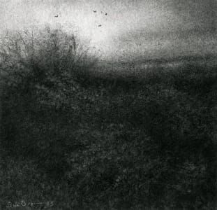 Artwork Title: Edgeland V, Charcoal & Carbon on Arches