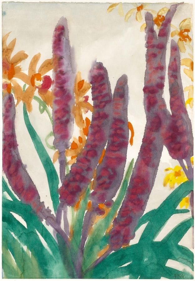 Artwork Title: Floral watercolor with spadix and orchid tendrils