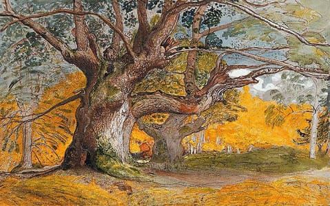 Artwork Title: Oak Trees, Lullingstone Park