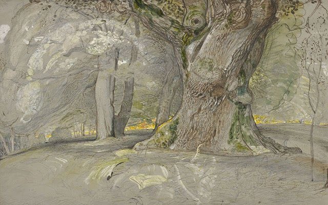 Artwork Title: Oak Tree and Beech, Lullingstone Park