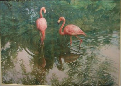Artwork Title: Two Flamingoes
