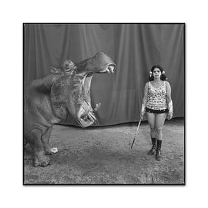 Artwork Title: Hippopotamus And Performer. Great Rayman Circus, Madras, India 1989