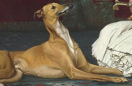 Artwork Title: Arnaut Blowing Smoke in His Dog's Nose, A greyhound who does not like the snuff