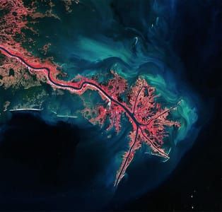 Artwork Title: Mississippi River Delta