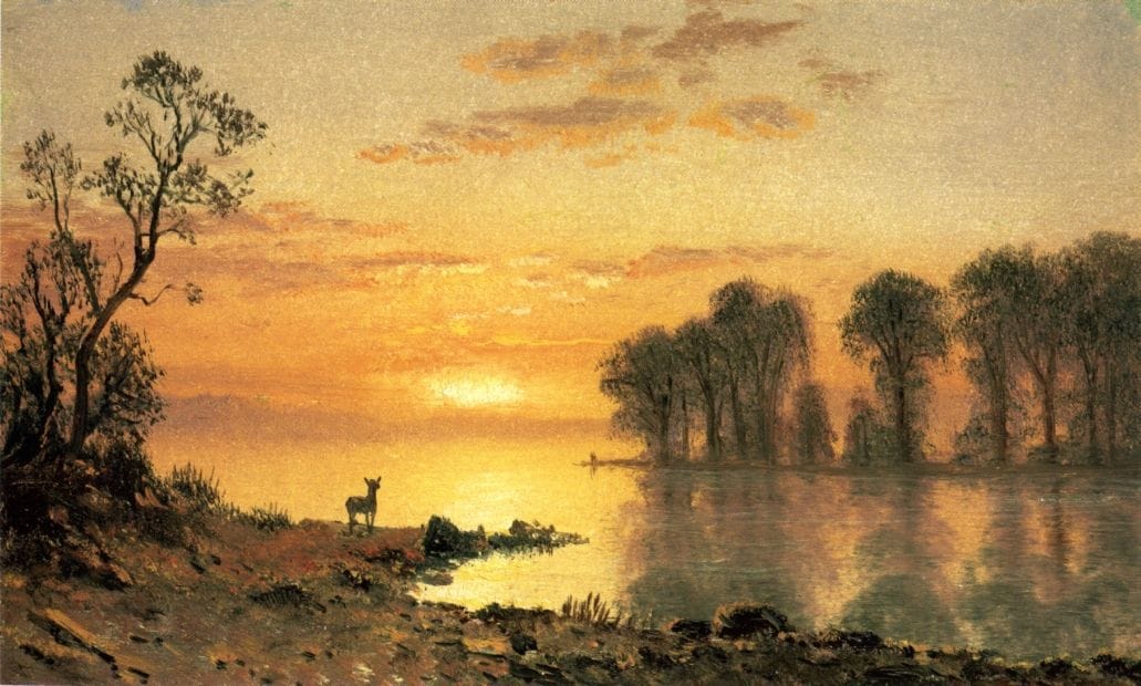 Artwork Title: Sunset, Deer and River