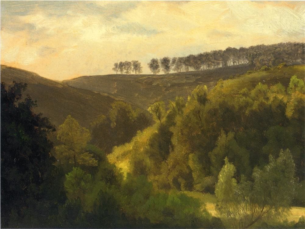 Artwork Title: Sunrise over Forest and Grove