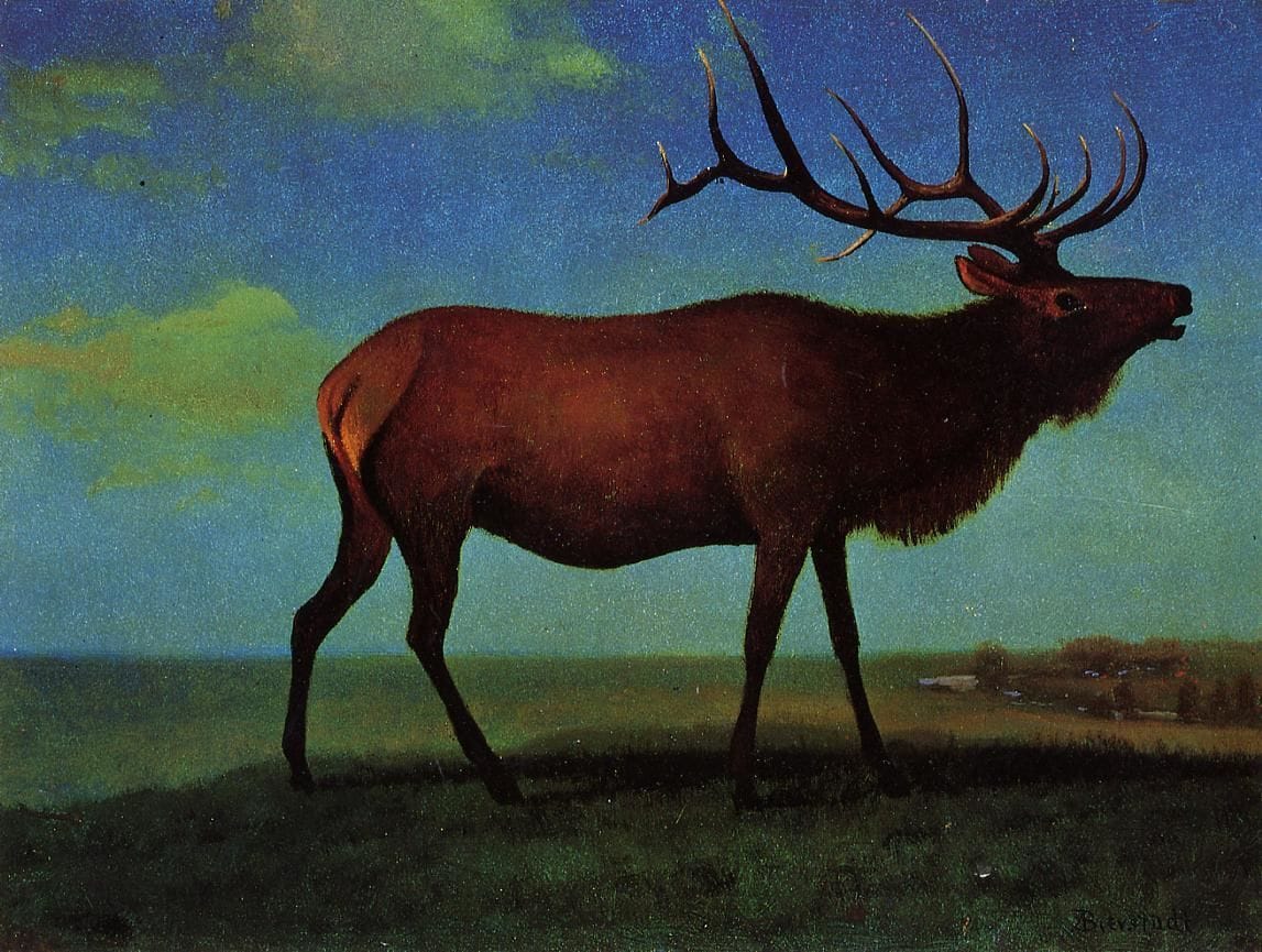 Artwork Title: Elk
