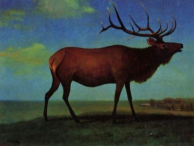 Artwork Title: Elk