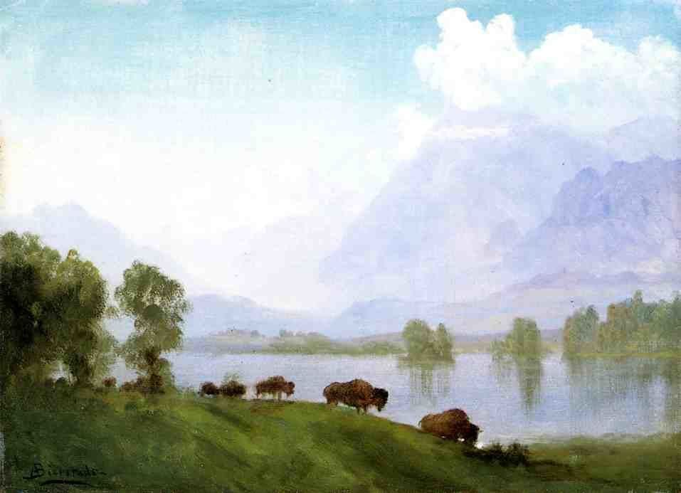 Artwork Title: Buffalo Country