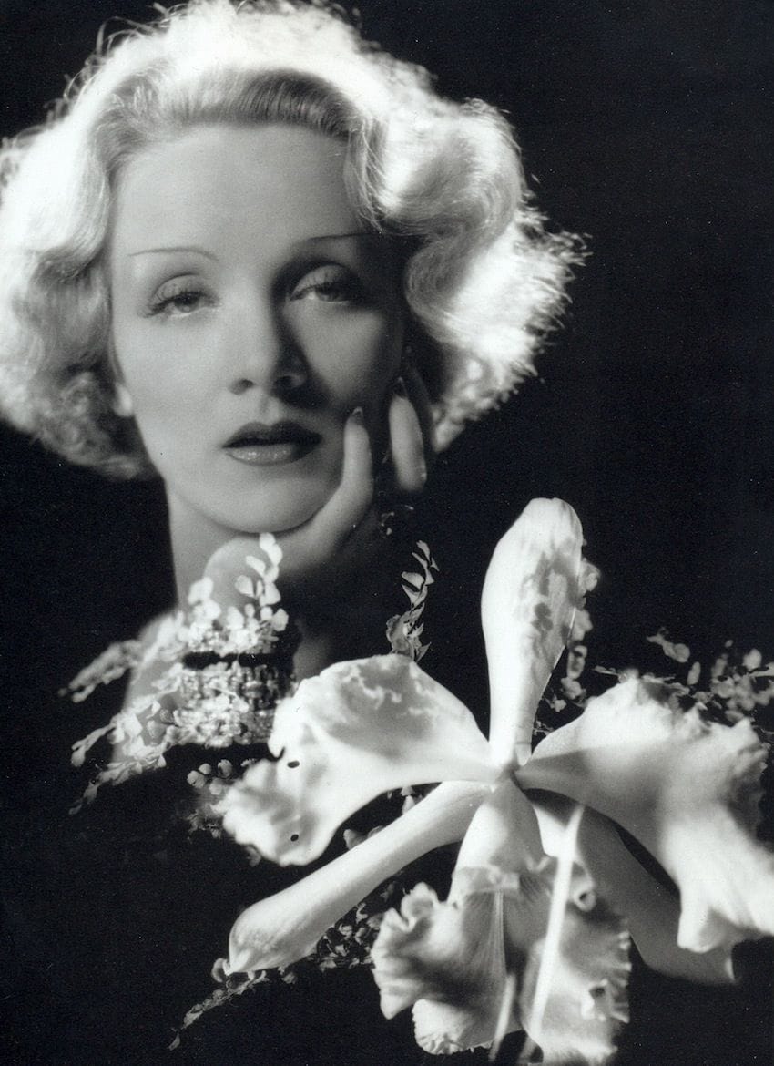 Artwork Title: Marlene Dietrich 1953