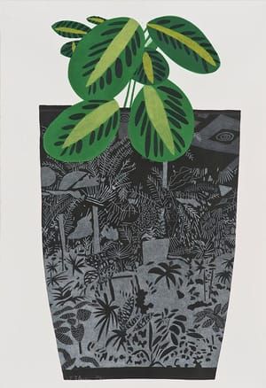 Artwork Title: Black Landscape Pot with Kiwi Plant 1