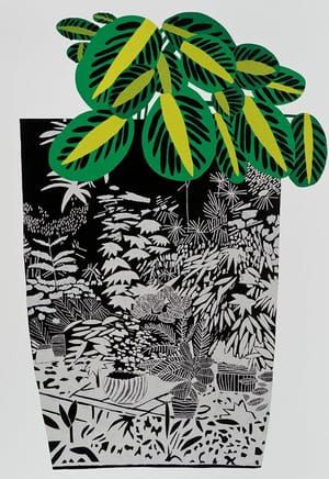 Artwork Title: Black Landscape Pot with Kiwi Plant