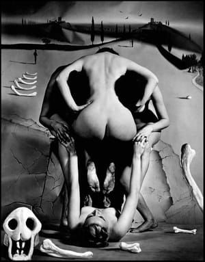 Artwork Title: Salvador Dali's 