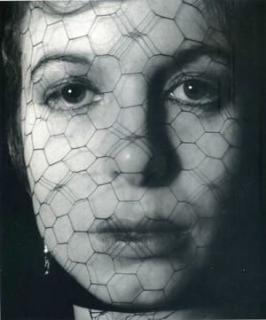 Artwork Title: Face Behind Veil