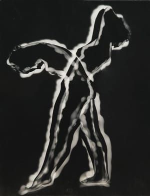 Artwork Title: Nude Light/Shadow, New York
