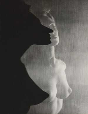 Artwork Title: Shadow Profile Behind Veil