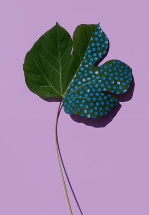 Artwork Title: Wonderplants