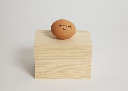 Artwork Title: Signed Egg (title Tbc)