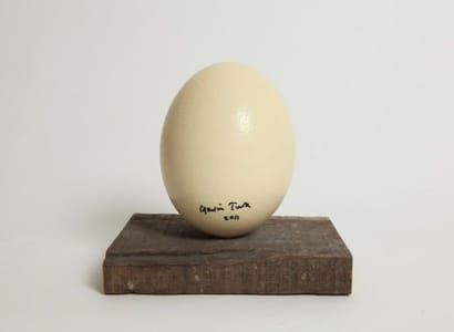 Artwork Title: Ostrich Egg (title Tbc)