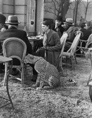 Artwork Title: Woman Sitting With Her Pet Cheetah Having Tea At A Bois De Boulogne Cafe