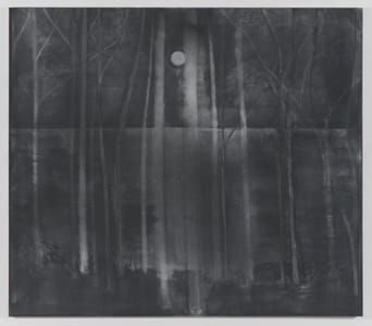 Artwork Title: Seascape Moontrail And Trees