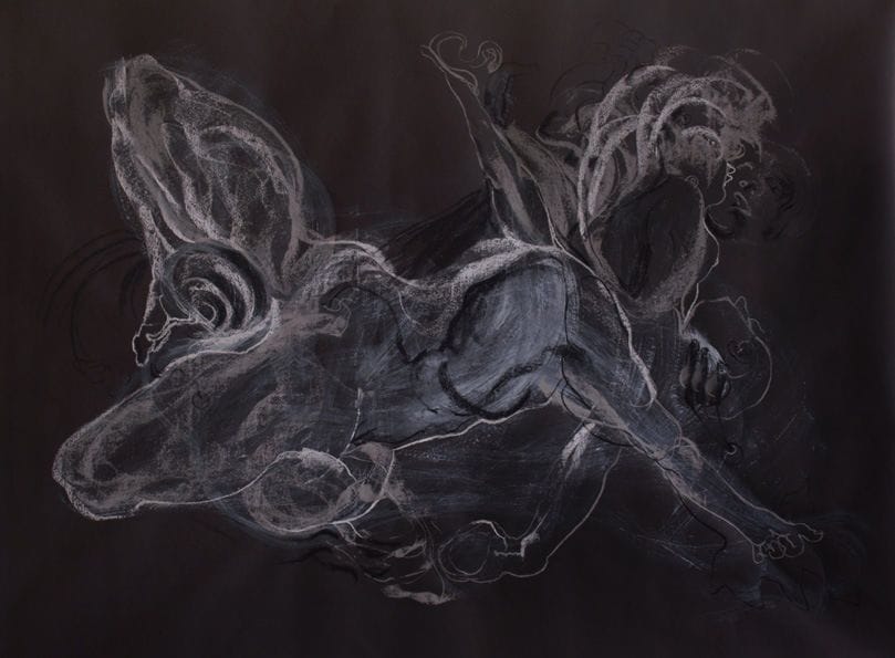 Artwork Title: Constellation