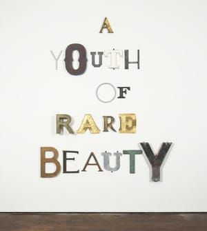 Artwork Title: A Youth Of Rare Beauty