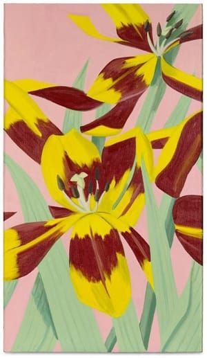 Artwork Title: Open Tulips