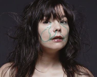 Artwork Title: Björk - Poisson Nageur