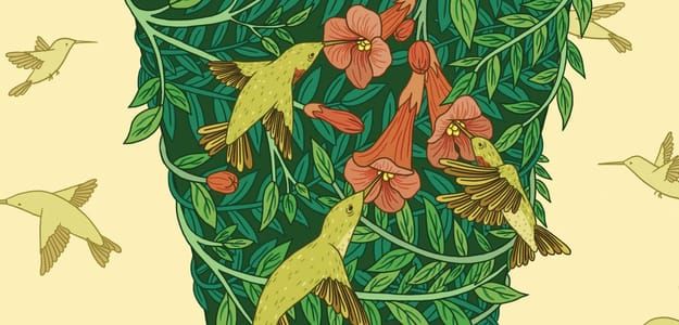 Artwork Title: Illustrated Aviary: Ruby-throated Hummingbird