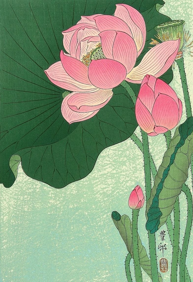 Artwork Title: Flowering Lotus (oban)