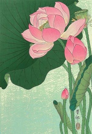 Artwork Title: Flowering Lotus (oban)