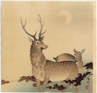 Artwork Title: A Pair of Deer, Maple Branches, and Moon
