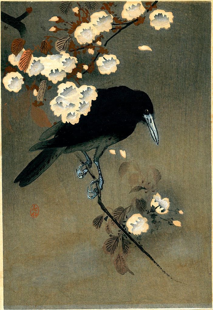 Artwork Title: Crow and Blossom