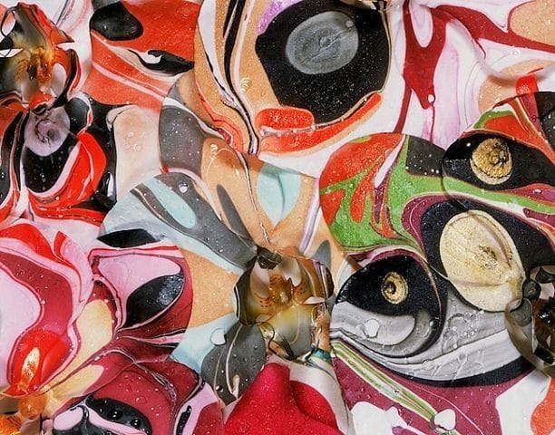 Artwork Title: Marbled Phalaenopsis Orgy #1
