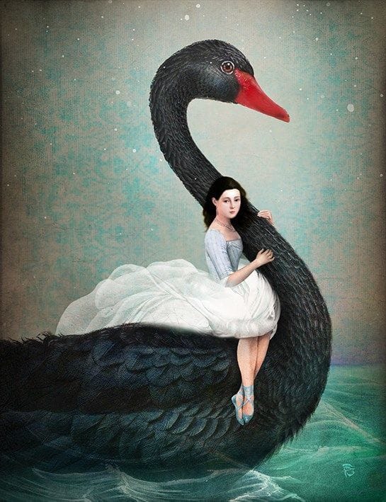 Artwork Title: Black Swan
