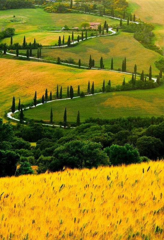 Artwork Title: Zigzag Road, Tuscany