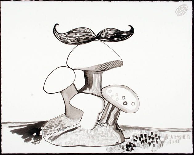 Artwork Title: Mustache On Mushroom Island