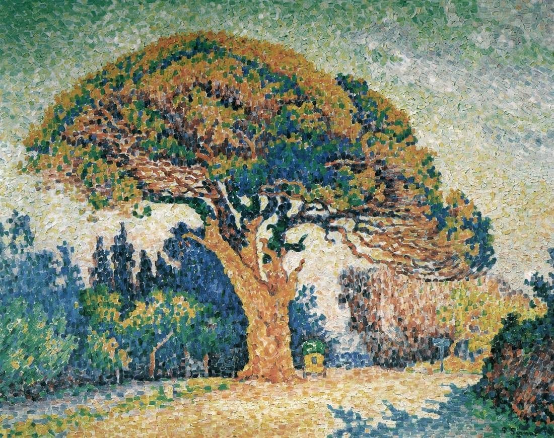 Artwork Title: Pine Tree at Saint-Tropez