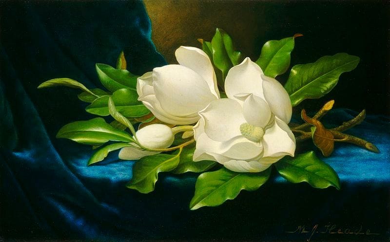 Artwork Title: Giant Magnolias on a Blue Velvet Cloth