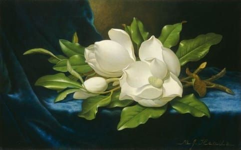 Artwork Title: Giant Magnolias on a Blue Velvet Cloth