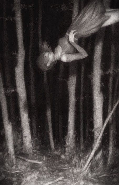 Artwork Title: Harvest