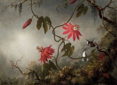 Artwork Title: Passion Flowers with Hummingbirds