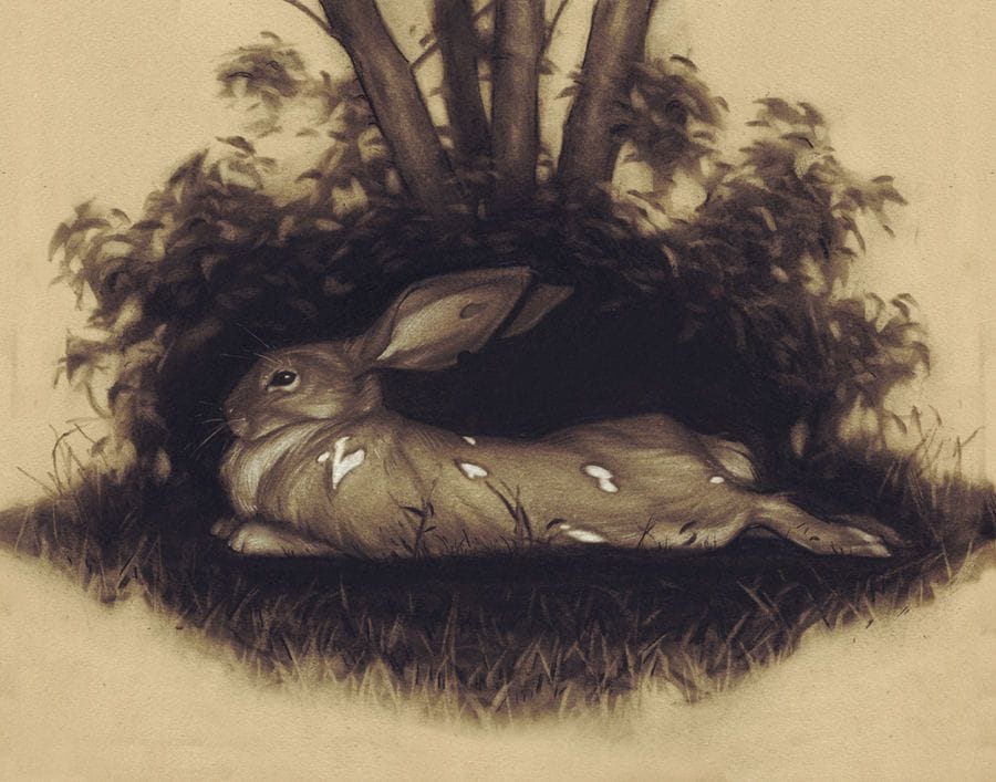 Artwork Title: The Thicket Stirs