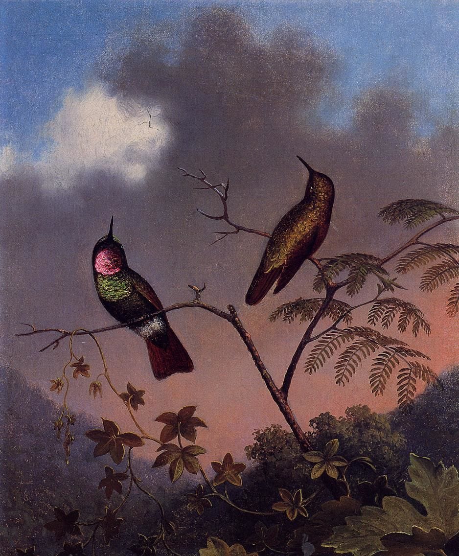 Artwork Title: Brazilian Ruby Hummingbirds