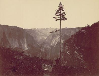 Artwork Title: Yosemite Valley from Mariposa Trail