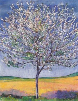 Artwork Title: Cherry Tree in Bloom