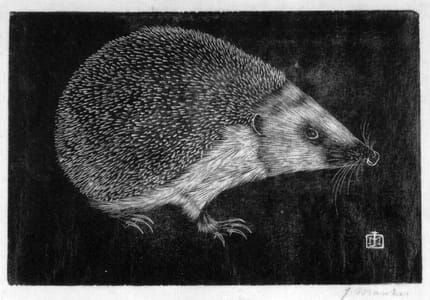 Artwork Title: Egel (Hedgehog)