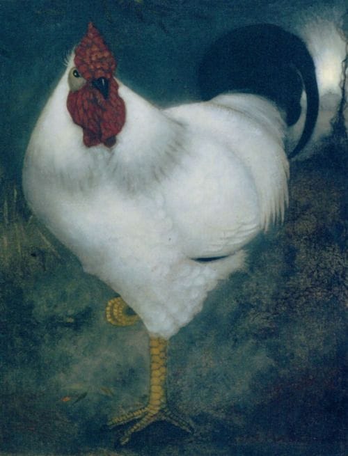 Artwork Title: Witte haan (White Rooster)